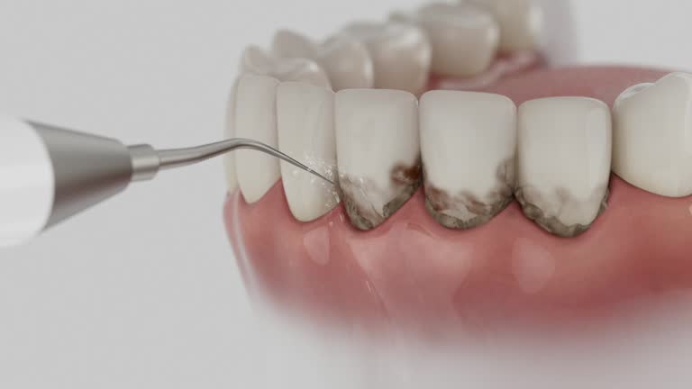 Reliable Dental contractor in Anchorage, AK by Dentist Open Now